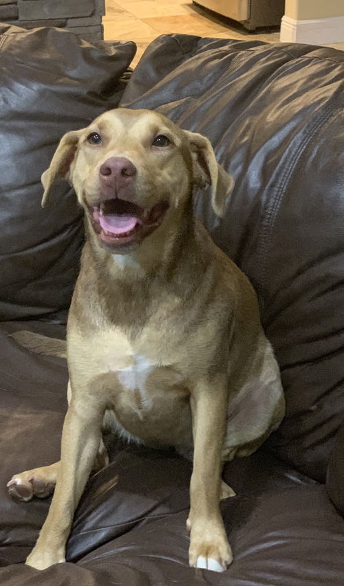 Copper