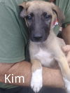 Kim
