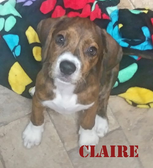 Claire