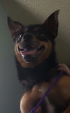 Tyson