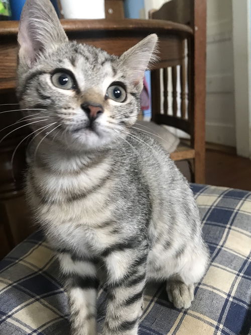 Ryder