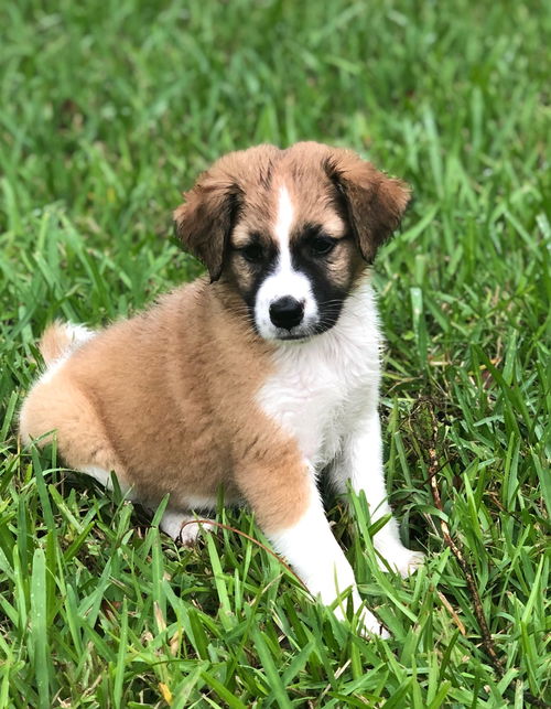 Lucy