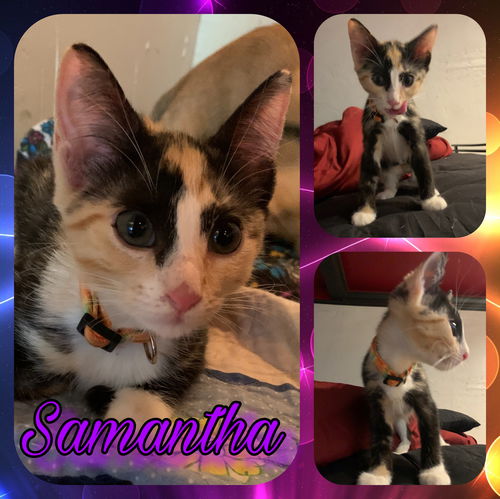 Samantha