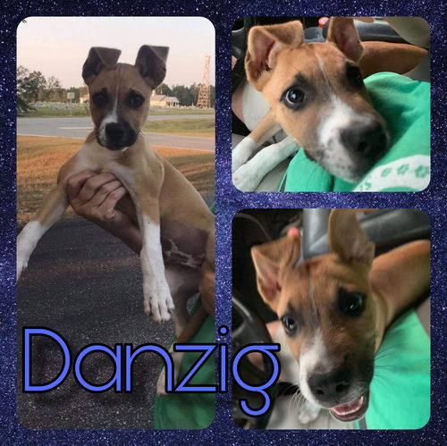 Danzig