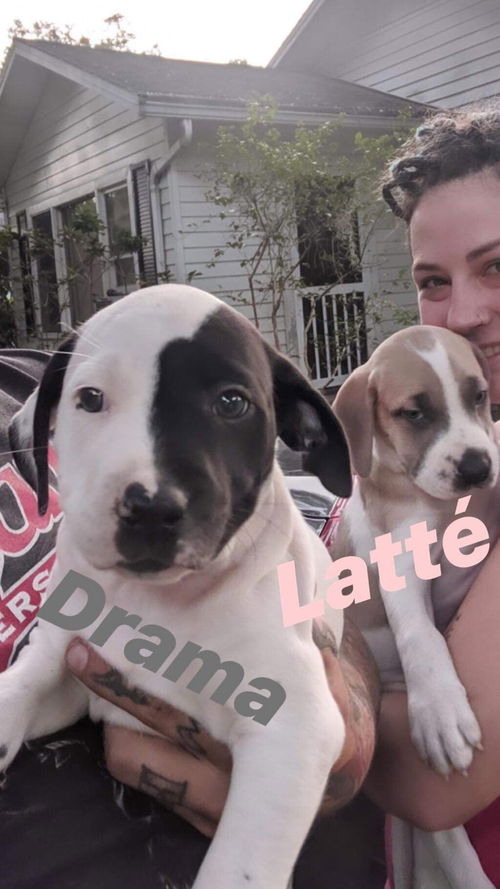 Drama