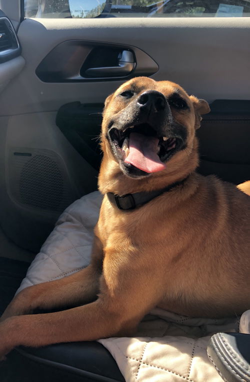 Duke