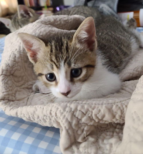 Maggie Mae