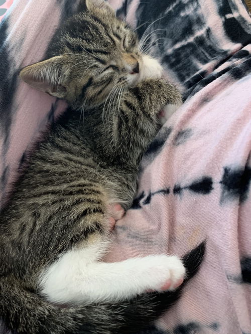 Tango