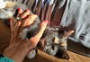 Cleo