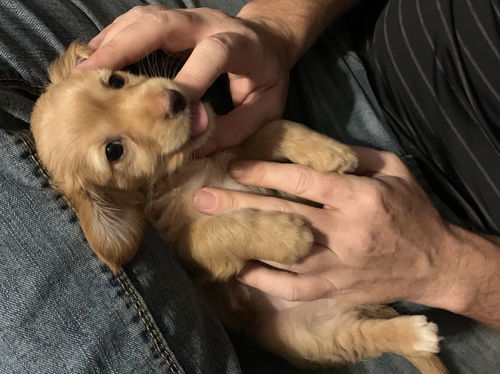 Sabo