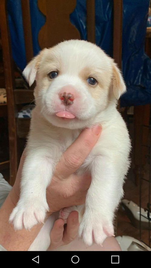 Casper