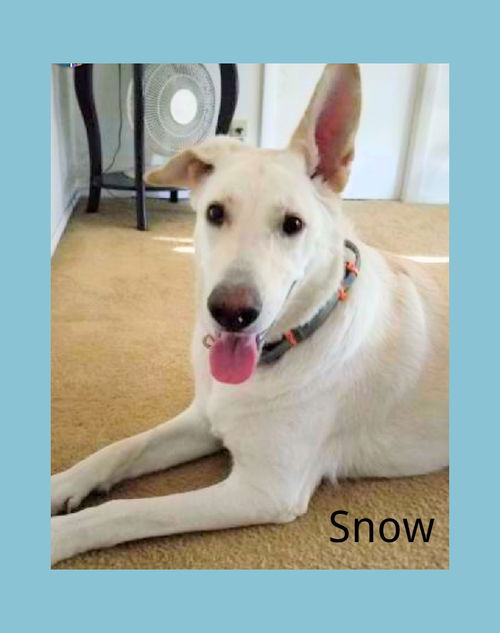 Snow