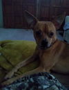Ricardo