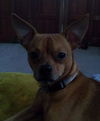 Ricardo