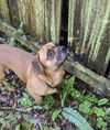 Tucker