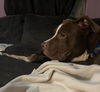 Kilo