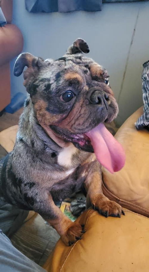 Matilda