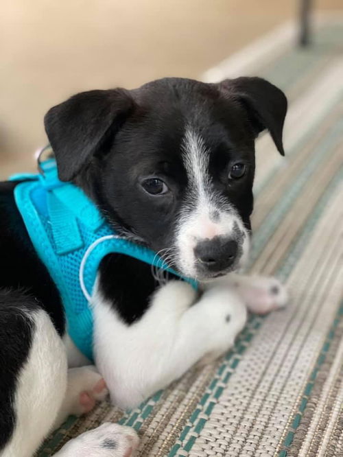 Minnie