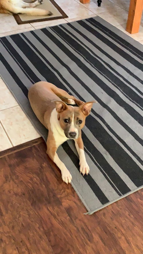 Rosie