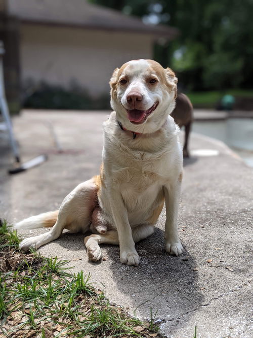 Milo
