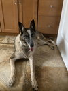 Fiona
