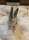 Fiona