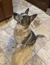 Fiona