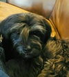 Sprocket