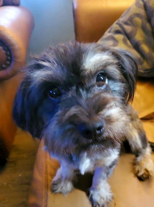 Sprocket