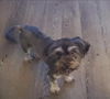 Sprocket