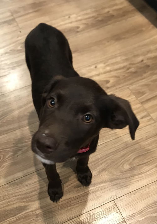 Ripley