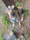 Wilma
