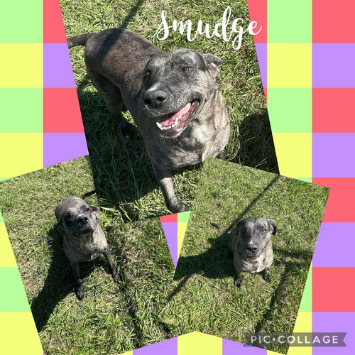 Smudge