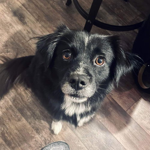Maggie