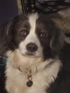Charlie