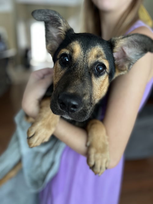 Sadie