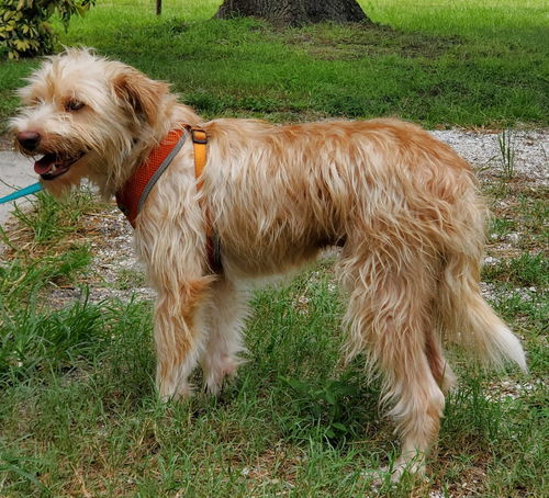 Rusty