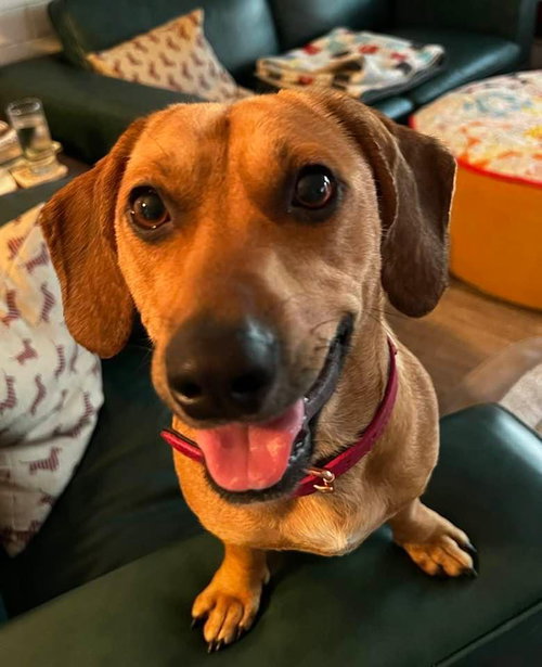 Betty