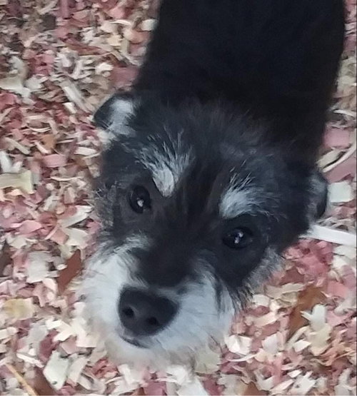 Buster