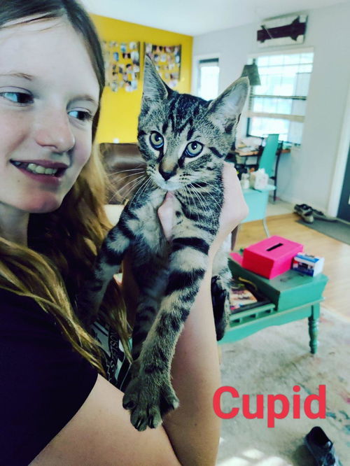 Cupid
