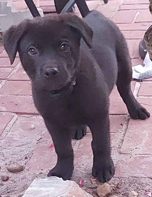 A.J