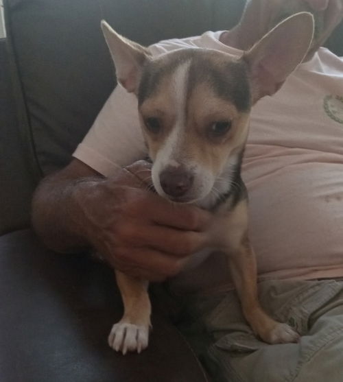 Petey
