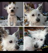 Murphy