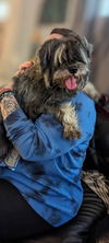 Chico