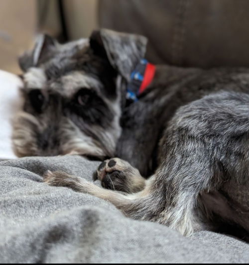 Chloe