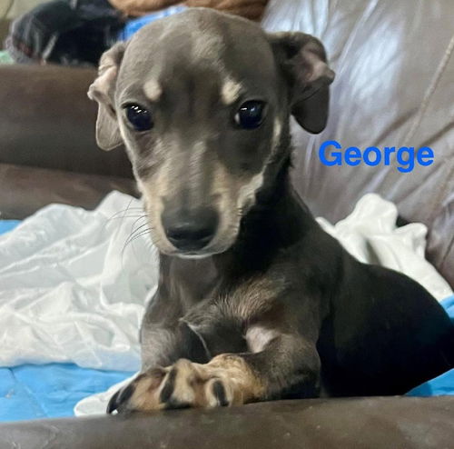 George