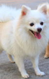 Chloe