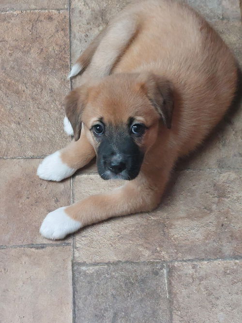 Teagan