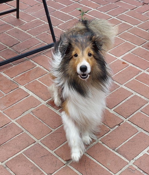 Logan