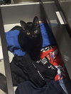 Salem